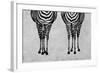 Zebras-Martina Pavlova-Framed Art Print