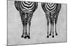 Zebras-Martina Pavlova-Mounted Art Print