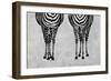 Zebras-Martina Pavlova-Framed Art Print