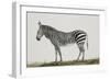 Zébre de montagne-Léon Wailly-Framed Giclee Print