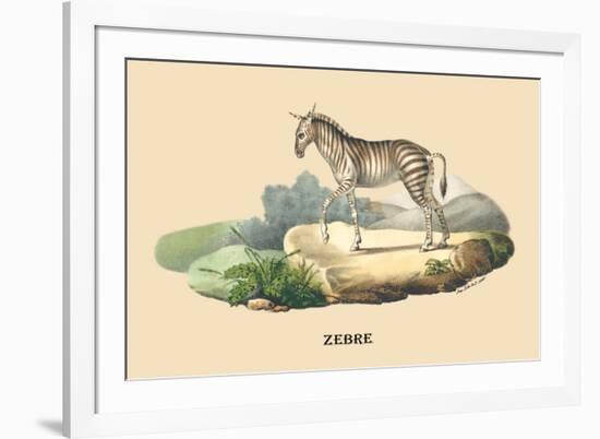 Zebre-E.f. Noel-Framed Premium Giclee Print