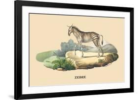 Zebre-E.f. Noel-Framed Premium Giclee Print