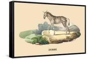 Zebre-E.f. Noel-Framed Stretched Canvas