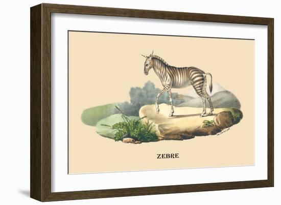 Zebre-E.f. Noel-Framed Art Print