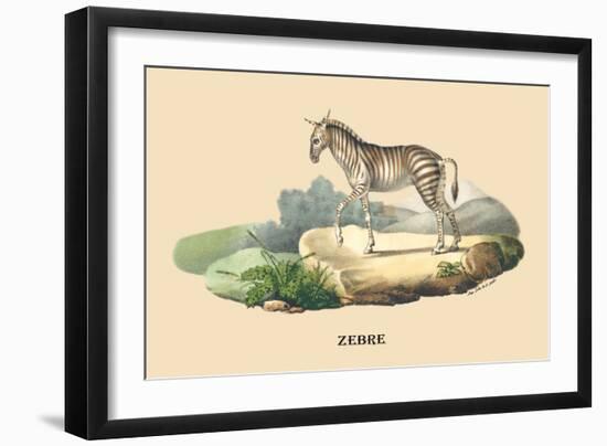 Zebre-E.f. Noel-Framed Art Print