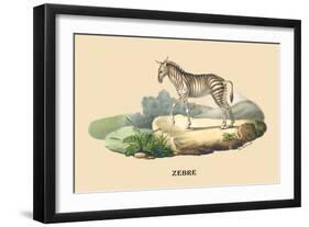 Zebre-E.f. Noel-Framed Art Print