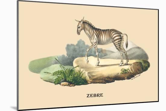 Zebre-E.f. Noel-Mounted Art Print