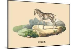 Zebre-E.f. Noel-Mounted Art Print