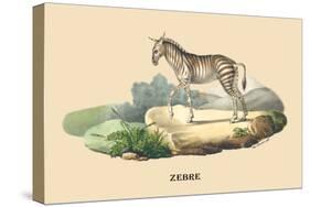 Zebre-E.f. Noel-Stretched Canvas