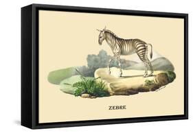 Zebre-E.f. Noel-Framed Stretched Canvas