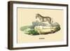 Zebre-E.f. Noel-Framed Premium Giclee Print