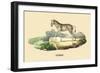 Zebre-E.f. Noel-Framed Premium Giclee Print