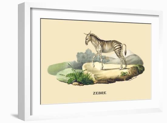 Zebre-E.f. Noel-Framed Premium Giclee Print