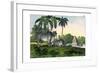 Zebu, 1860-null-Framed Giclee Print