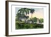 Zebu, 1860-null-Framed Giclee Print