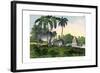 Zebu, 1860-null-Framed Giclee Print