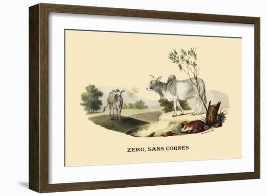 Zebu, Sans Cornes-E.f. Noel-Framed Premium Giclee Print