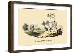 Zebu, Sans Cornes-E.f. Noel-Framed Premium Giclee Print