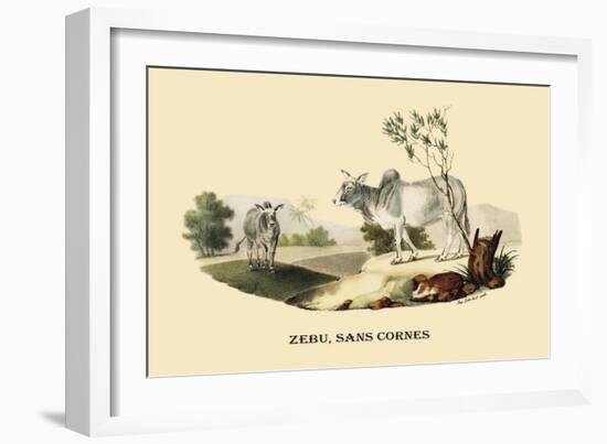 Zebu, Sans Cornes-E.f. Noel-Framed Premium Giclee Print