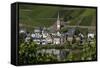 Zell Church on River Mosel, Zell, Rhineland-Palatinate, Germany, Europe-Charles Bowman-Framed Stretched Canvas