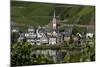 Zell Church on River Mosel, Zell, Rhineland-Palatinate, Germany, Europe-Charles Bowman-Mounted Photographic Print