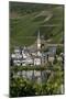 Zell Church on River Mosel, Zell, Rhineland-Palatinate, Germany, Europe-Charles Bowman-Mounted Photographic Print