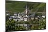 Zell Church on River Mosel, Zell, Rhineland-Palatinate, Germany, Europe-Charles Bowman-Mounted Photographic Print