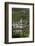 Zell Church on River Mosel, Zell, Rhineland-Palatinate, Germany, Europe-Charles Bowman-Framed Photographic Print