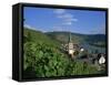 Zell-Merl, Mosel Valley, Rheinland-Pfalz, Germany, Europe-Hans Peter Merten-Framed Stretched Canvas