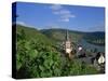 Zell-Merl, Mosel Valley, Rheinland-Pfalz, Germany, Europe-Hans Peter Merten-Stretched Canvas