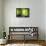 Zen Basalt Stones and Bamboo-scorpp-Framed Stretched Canvas displayed on a wall