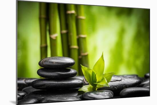 Zen Basalt Stones and Bamboo-scorpp-Mounted Photographic Print