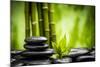 Zen Basalt Stones and Bamboo-scorpp-Mounted Photographic Print