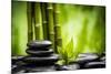 Zen Basalt Stones and Bamboo-scorpp-Mounted Photographic Print