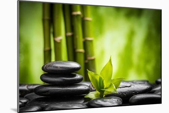 Zen Basalt Stones and Bamboo-scorpp-Mounted Photographic Print