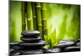 Zen Basalt Stones and Bamboo-scorpp-Mounted Photographic Print