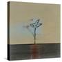 Zen Blossom II-Sarah Stockstill-Stretched Canvas