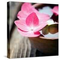 Zen Bowl-null-Stretched Canvas