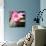 Zen Bowl-null-Mounted Photographic Print displayed on a wall