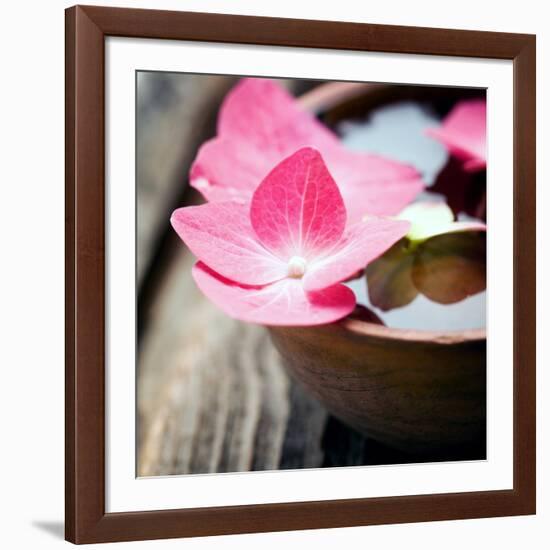 Zen Bowl-null-Framed Photographic Print