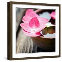 Zen Bowl-null-Framed Photographic Print