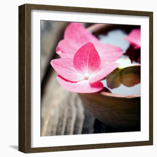 Zen Bowl-null-Framed Photographic Print