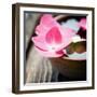 Zen Bowl-null-Framed Photographic Print