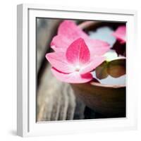 Zen Bowl-null-Framed Photographic Print