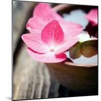 Zen Bowl-null-Mounted Photographic Print