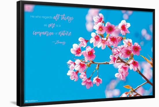 Zen - Cherry Blossom-Trends International-Framed Poster