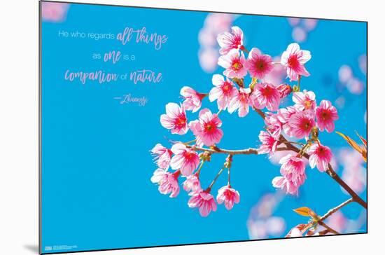Zen - Cherry Blossom-Trends International-Mounted Poster
