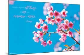 Zen - Cherry Blossom-Trends International-Mounted Poster