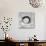 Zen Circle I Crop-Melissa Averinos-Mounted Art Print displayed on a wall