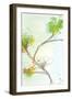 Zen Floral Panel 2-Jan Weiss-Framed Art Print